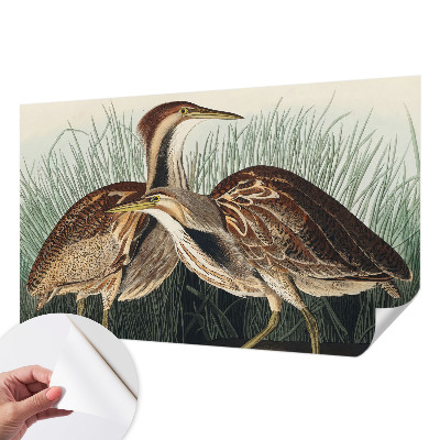 Självhäftande fotovägg Realistiska fåglar