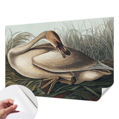 Peel and stick fototapet Naturlig fågel