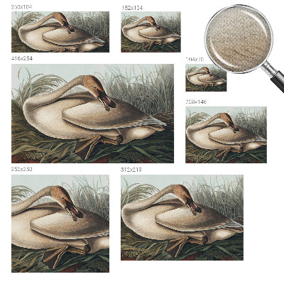 Peel and stick fototapet med motiv av en naturlig fågel
