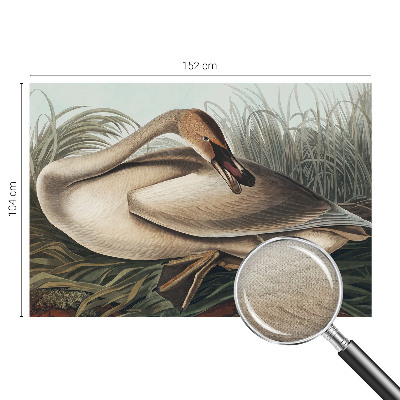Peel and stick fototapet med motiv av en naturlig fågel
