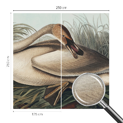 Peel and stick fototapet Naturlig fågel