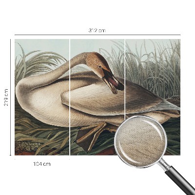 Peel and stick fototapet med motiv av en naturlig fågel