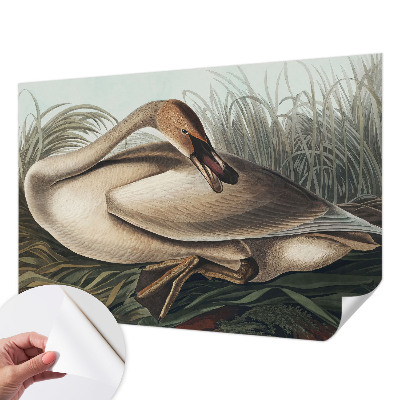 Peel and stick fototapet Naturlig fågel