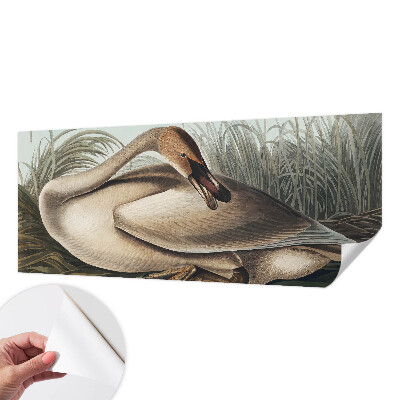 Peel and stick fototapet med motiv av en naturlig fågel