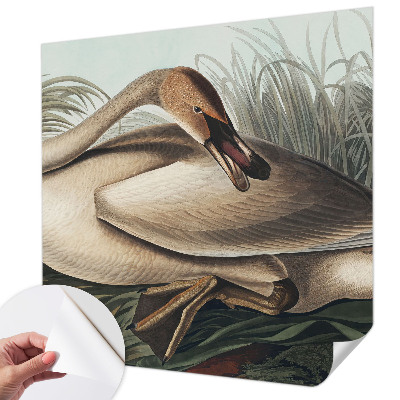 Peel and stick fototapet med motiv av en naturlig fågel