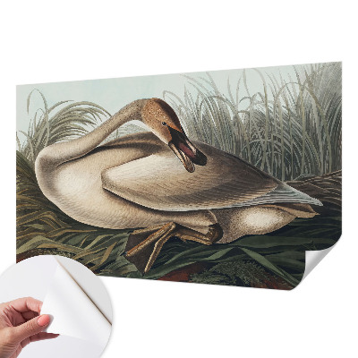 Peel and stick fototapet Naturlig fågel