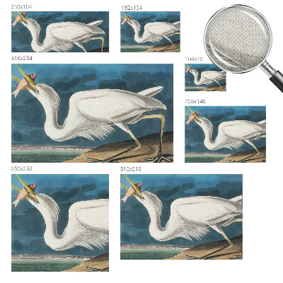 Självhäftande fotovägg Fågel med fisk