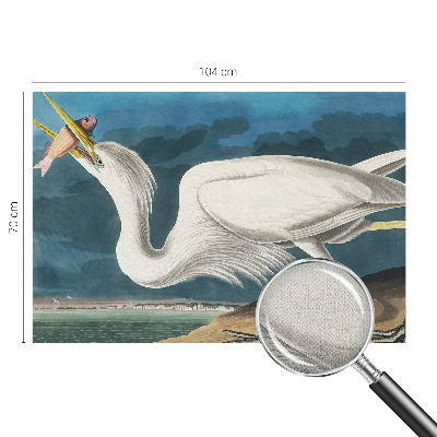 Självhäftande fotovägg Fågel med fisk