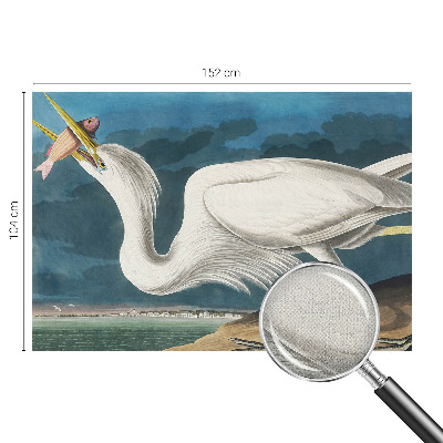 Självhäftande fotovägg Fågel med fisk