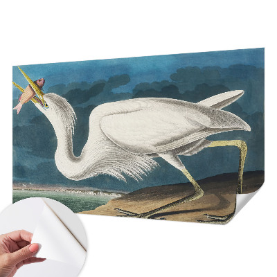 Självhäftande fotovägg Fågel med fisk