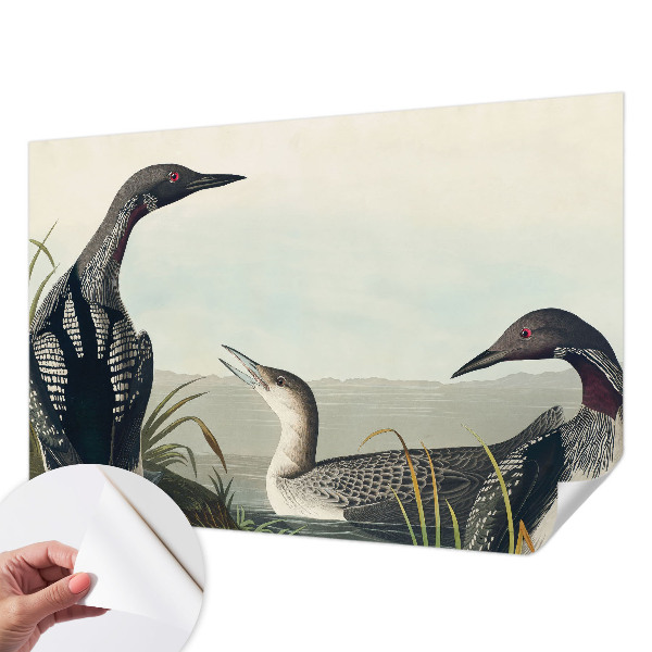 Fototapet barn Fåglar över vattnet