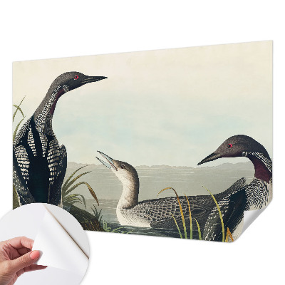 Fototapet barn Fåglar över vattnet