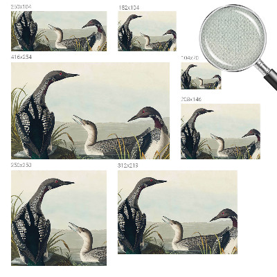 Fototapet barn Fåglar över vattnet