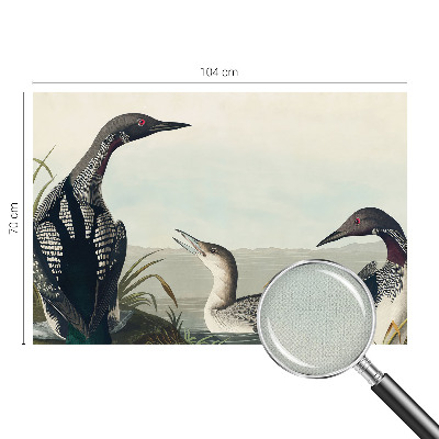 Fototapet barn Fåglar över vattnet