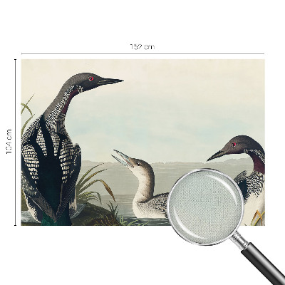 Fototapet barn Fåglar över vattnet