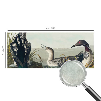 Fototapet barn Fåglar över vattnet