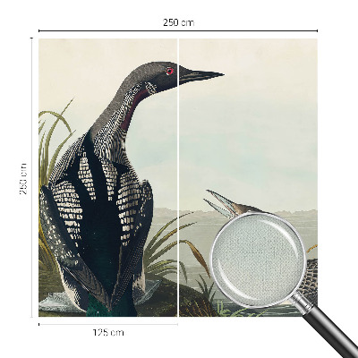 Fototapet barn Fåglar över vattnet