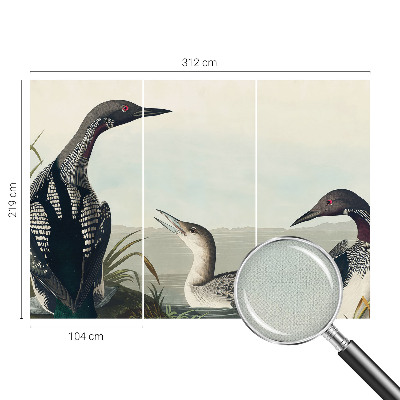 Fototapet barn Fåglar över vattnet