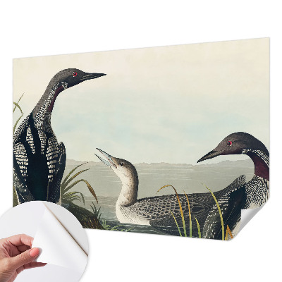 Fototapet barn Fåglar över vattnet