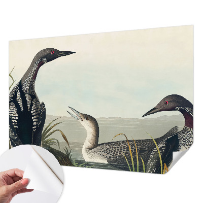 Fototapet barn Fåglar över vattnet