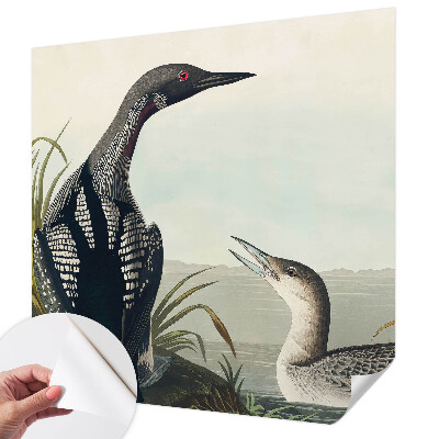 Fototapet barn Fåglar över vattnet