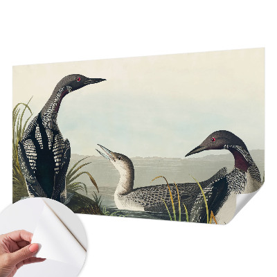 Fototapet barn Fåglar över vattnet