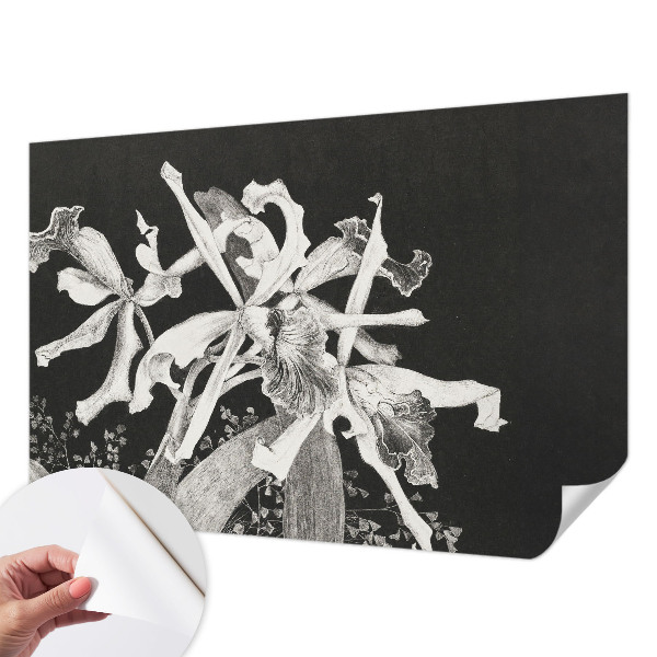Fototapet barnrum med en illustration av en orkidé
