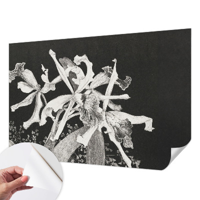 Fototapet barnrum med en illustration av en orkidé
