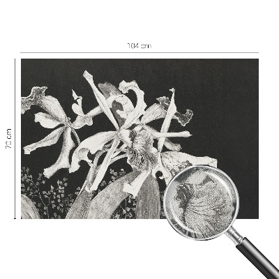 Fototapet barnrum med en illustration av en orkidé