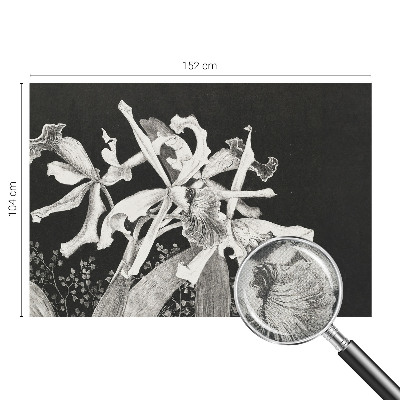 Fototapet barnrum med en illustration av en orkidé