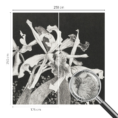 Fototapet barnrum Orkidéillustration