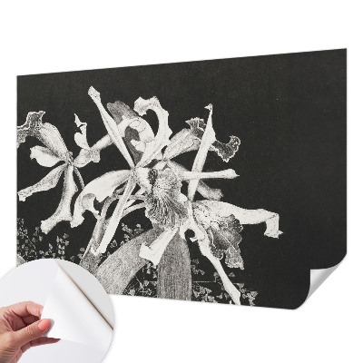 Fototapet barnrum med en illustration av en orkidé