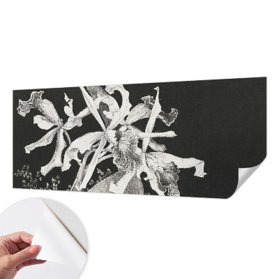 Fototapet barnrum Orkidéillustration