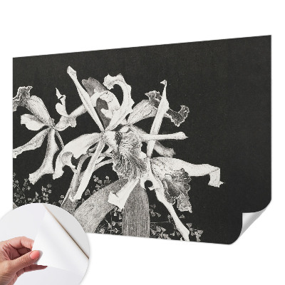 Fototapet barnrum Orkidéillustration