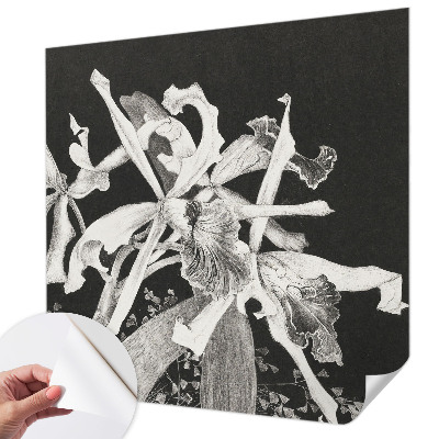 Fototapet barnrum Orkidéillustration