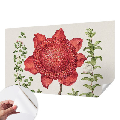 Fototapet barn med blommigt mönster