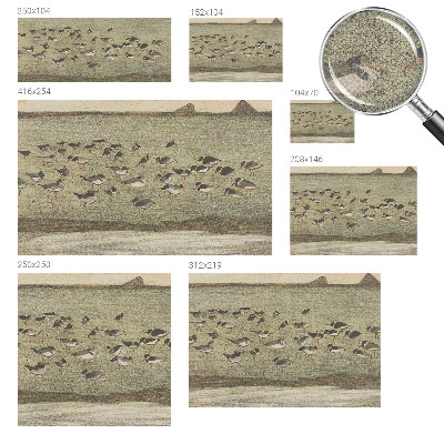 Självhäftande fotovägg Fågelns fred