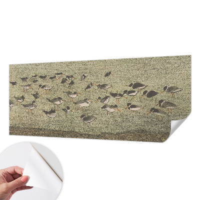 Självhäftande fotovägg Fågelns fred