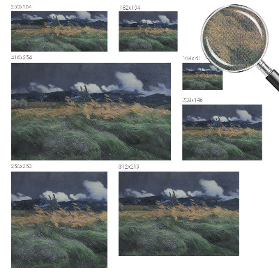 3D fototapet Blåst gräs