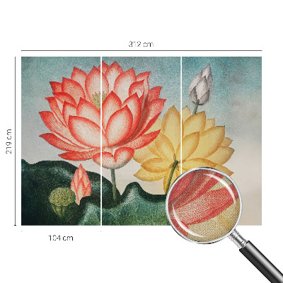 Självhäftande fototapet med motiv av lotusblommor