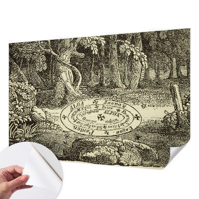 Peel and stick fototapet Magisk cirkel