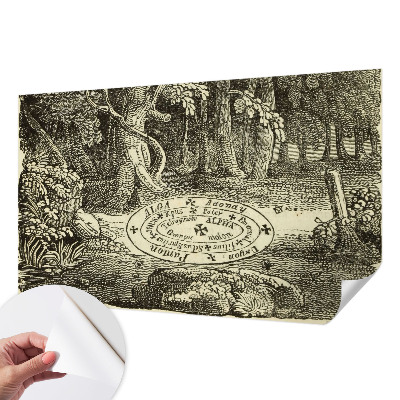 Peel and stick fototapet Magisk cirkel