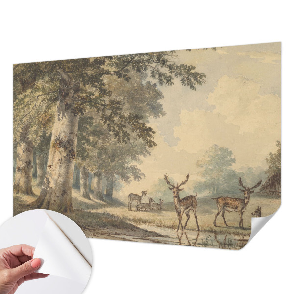 Fototapet barn Skogsfred