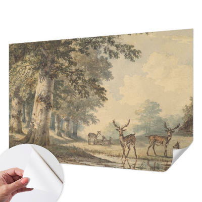 Fototapet barn Skogsfred