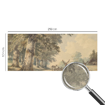 Fototapet barn Skogsfred