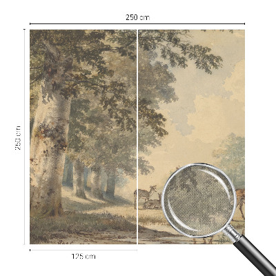 Fototapet barn Skogsfred