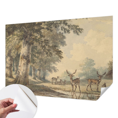 Fototapet barn Skogsfred