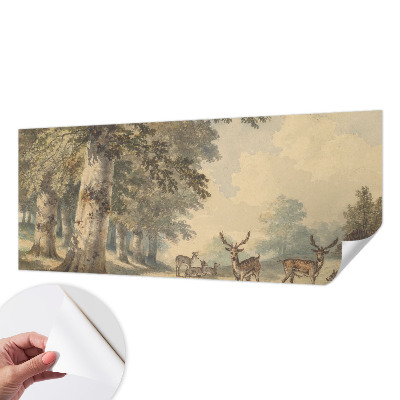 Fototapet barn Skogsfred