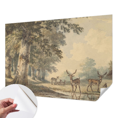 Fototapet barn med motiv av en lugn skog