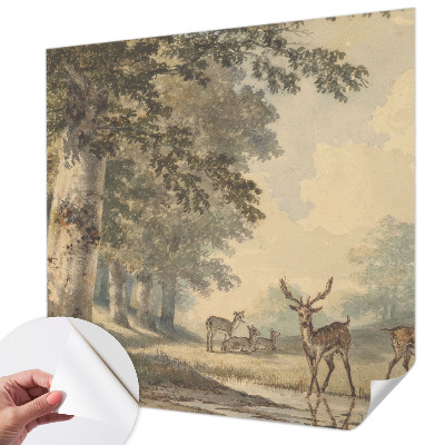 Fototapet barn med motiv av en lugn skog